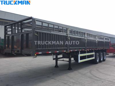 Treler Lori Kargo 70 Tan