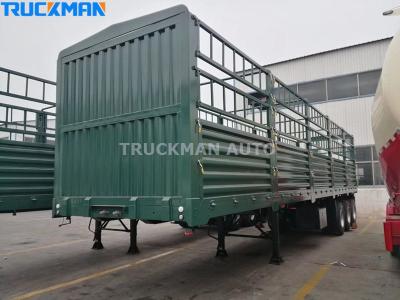 Treler Lori Kotak 3 Gandar 70 Tan